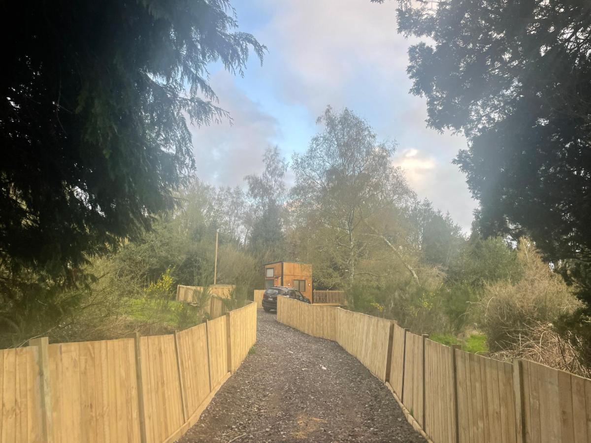 Tiny House In The Bush - A Minute From Town Centre Ruapehu Unique Stays Raetihi Exterior foto